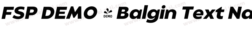 FSP DEMO - Balgin Text Narrow字体转换